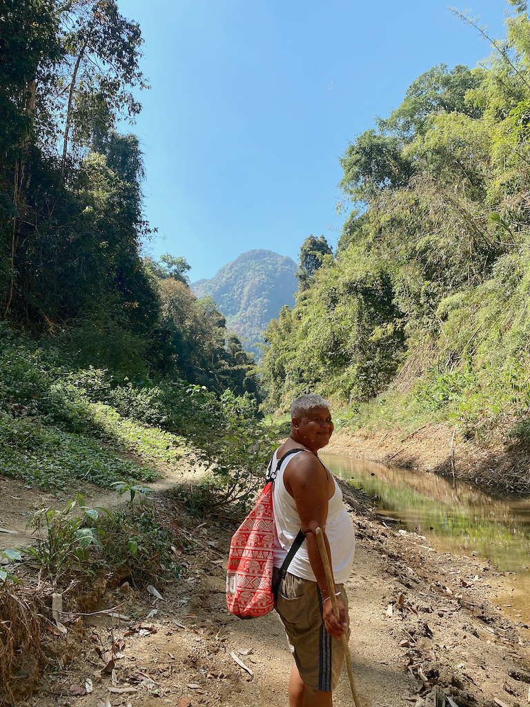 The jungles in Khao Sok national park