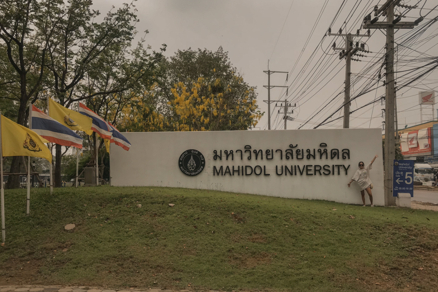 mahidol university