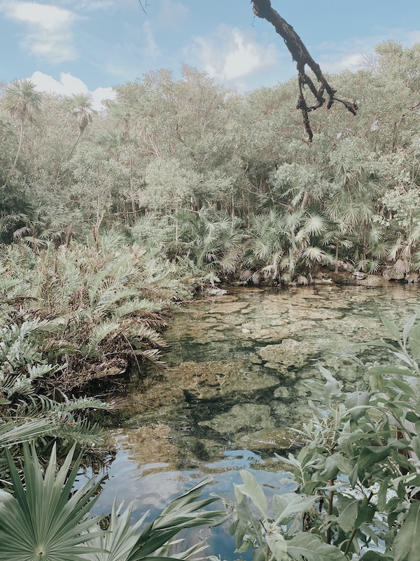 Cenotes inn Tulum