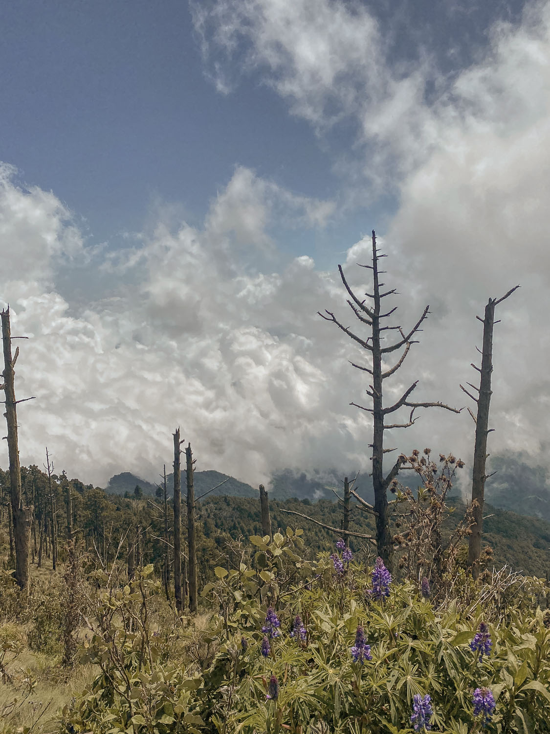 acatenango hike altitude