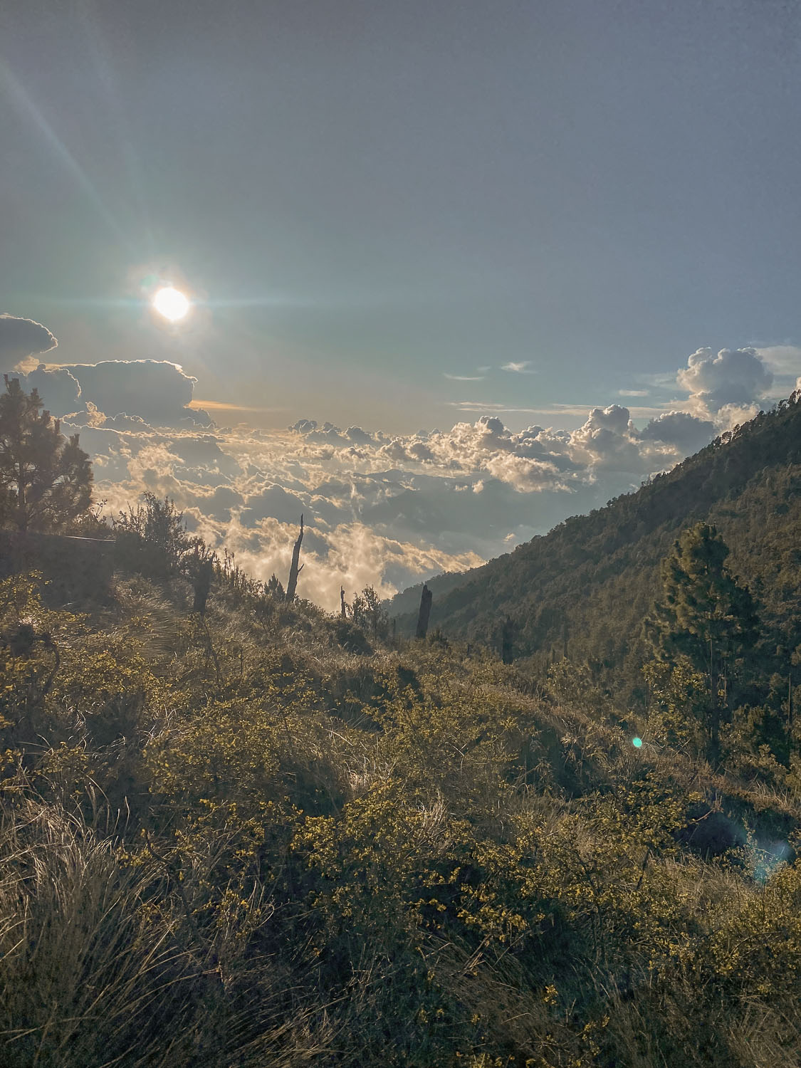 volcan de fuego