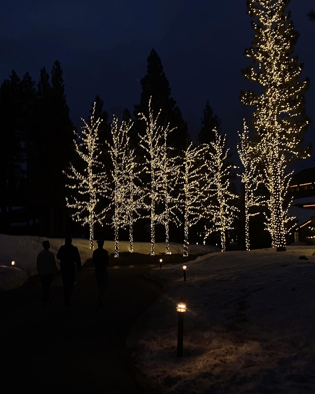 north lake tahoe things to do winter