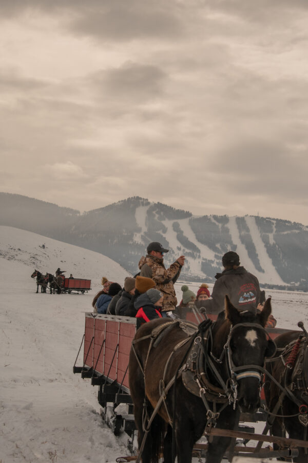 Jackson Spring Winter 14 Things To Do In Jackson Hole In The Winter | Syd Abroad
