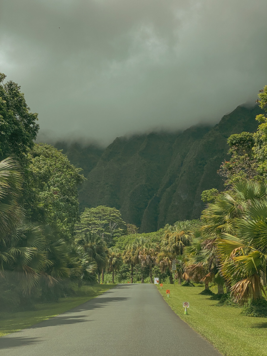 things to do in oahu today