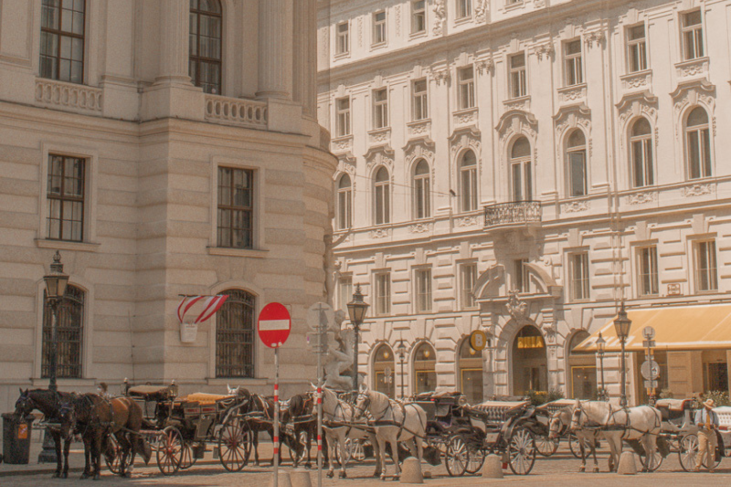 best things to do in Vienna