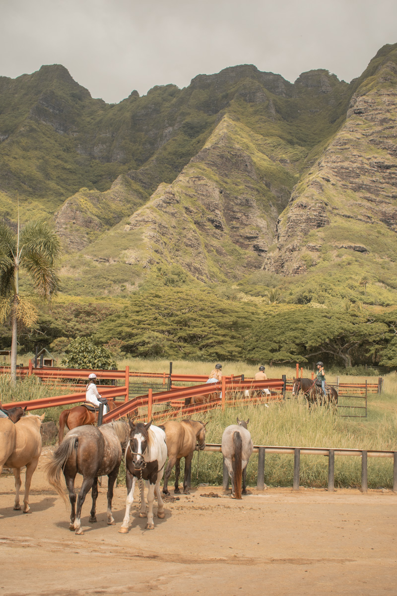 weekend in oahu