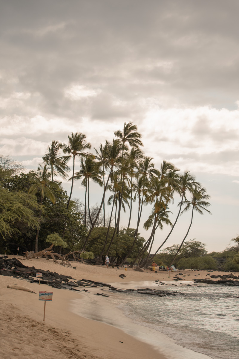 things to do on the big island for free