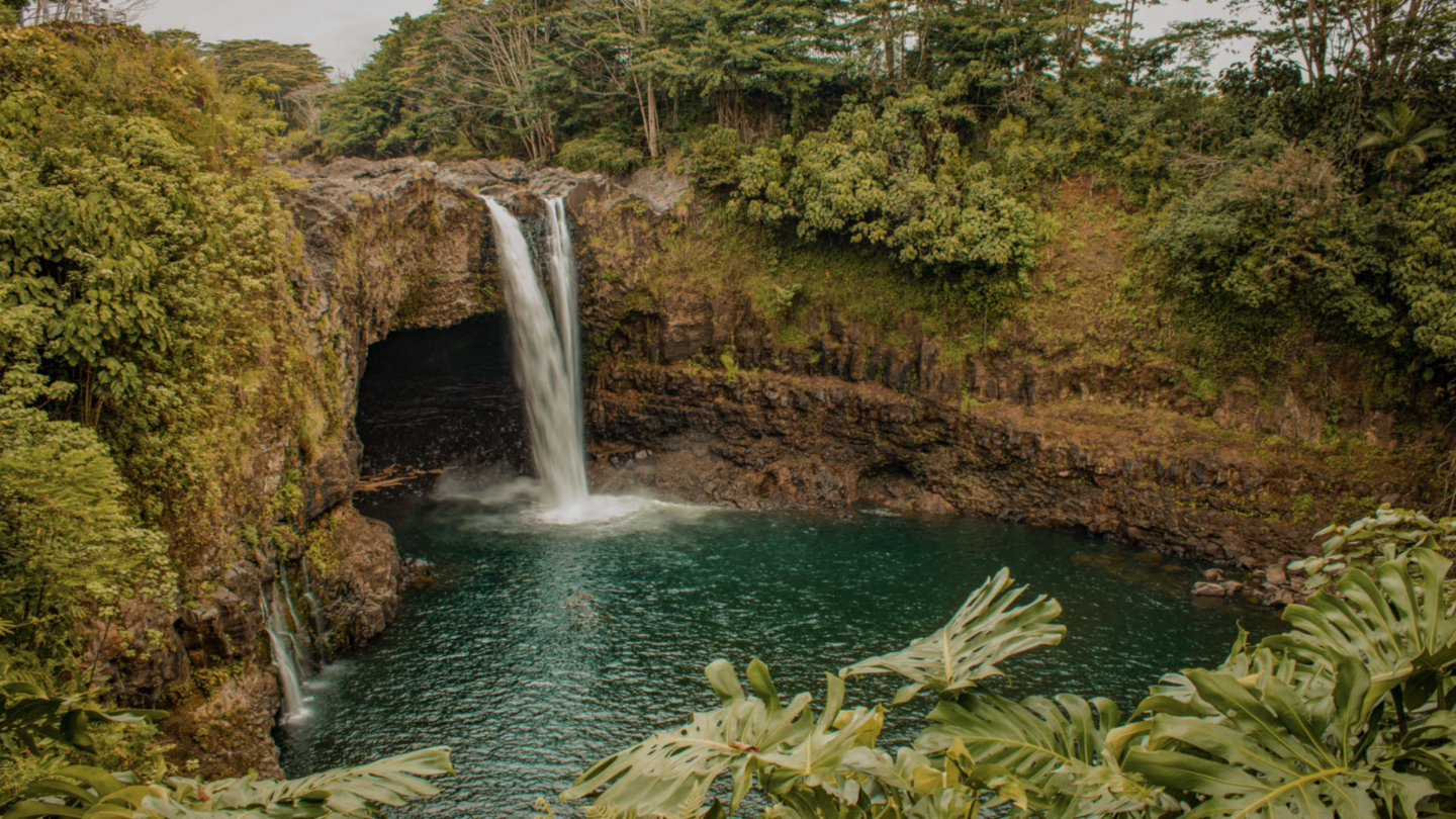 things to do in hilo