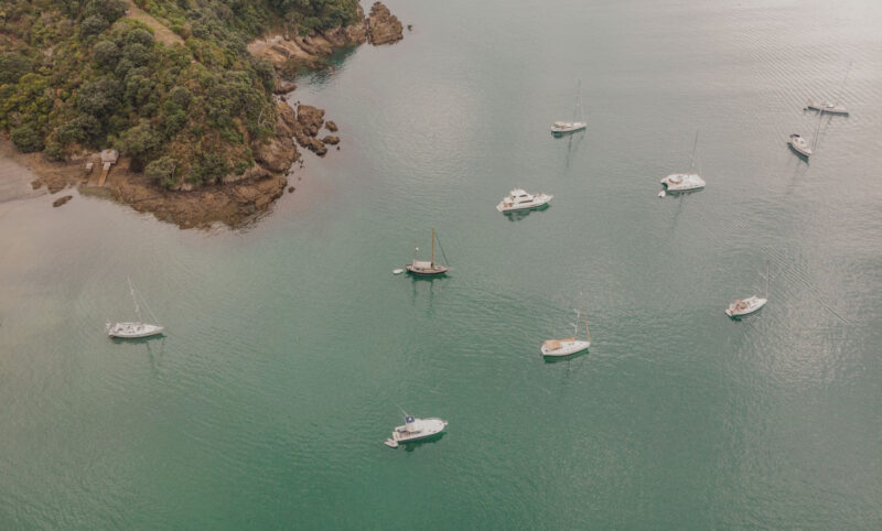 Waiheke Island Ferry: How to Get from Auckland to Waiheke