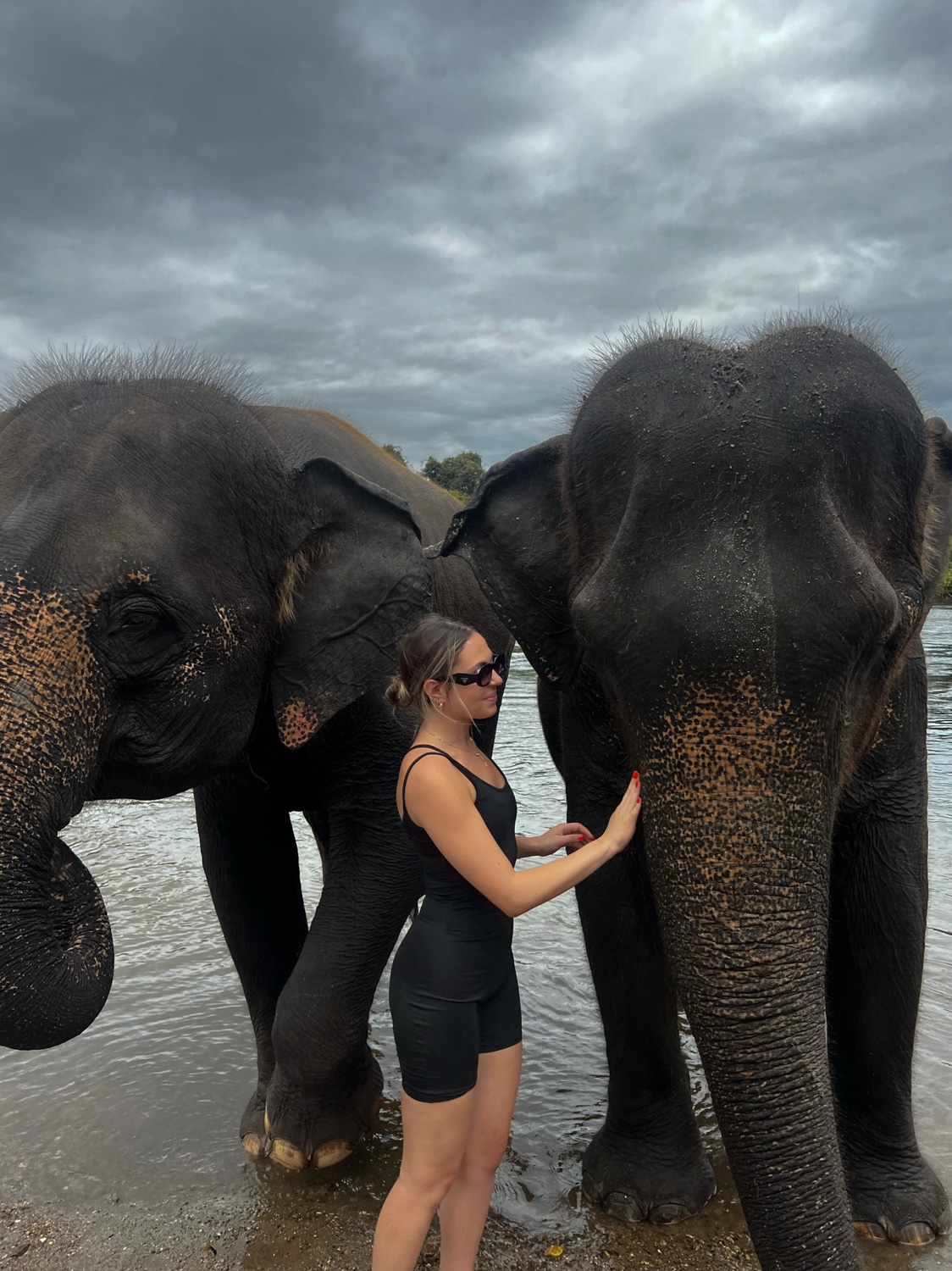 bangkok elephant sanctuary day trip