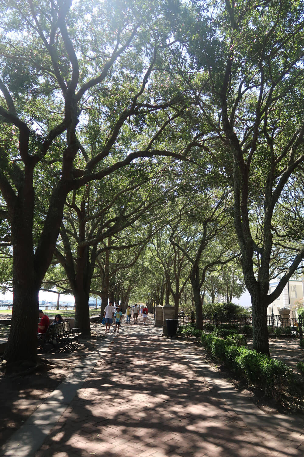 day trip to charleston, sc from myrtle beach