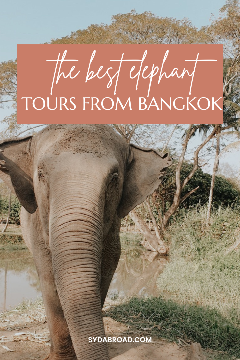 elephant tours from bangkok copy