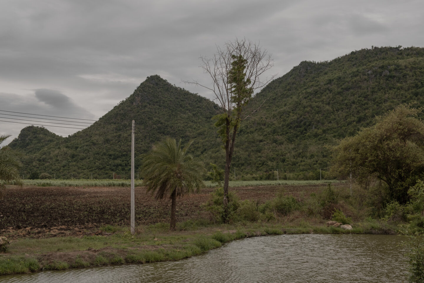 ethical elephant sanctuary near bangkok