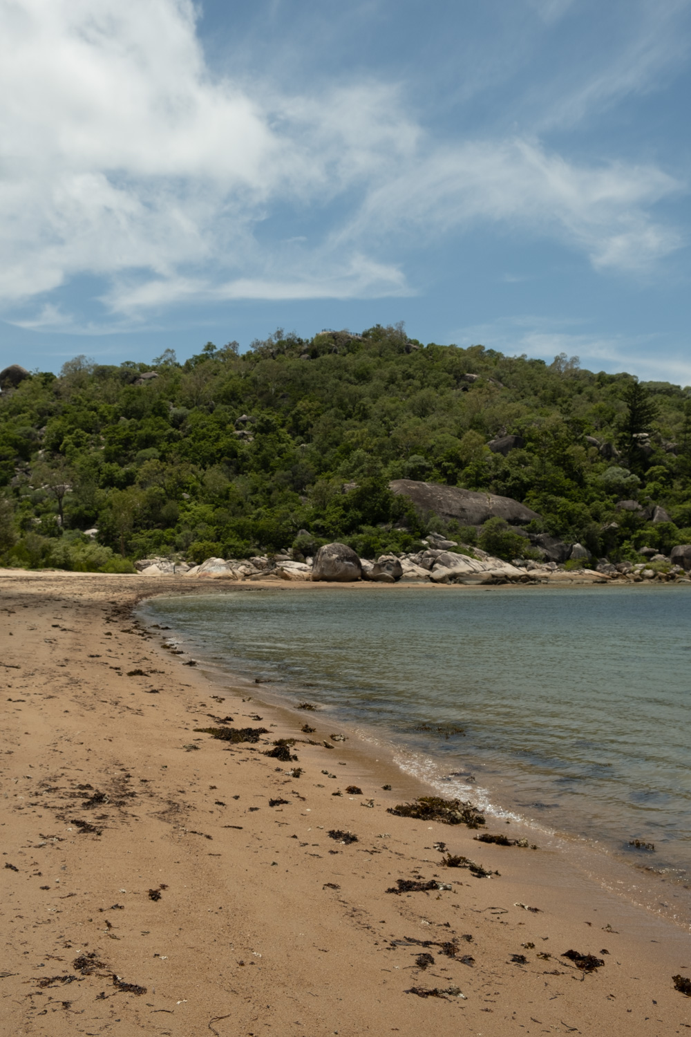 magnetic island things to do