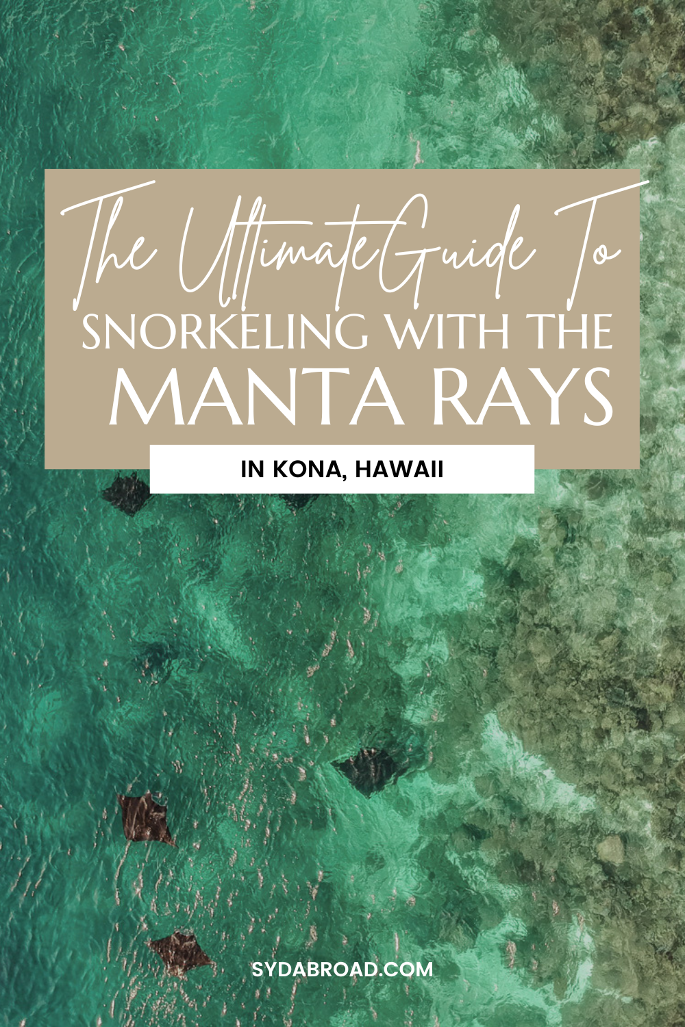 snorkeling with the manta rays kona