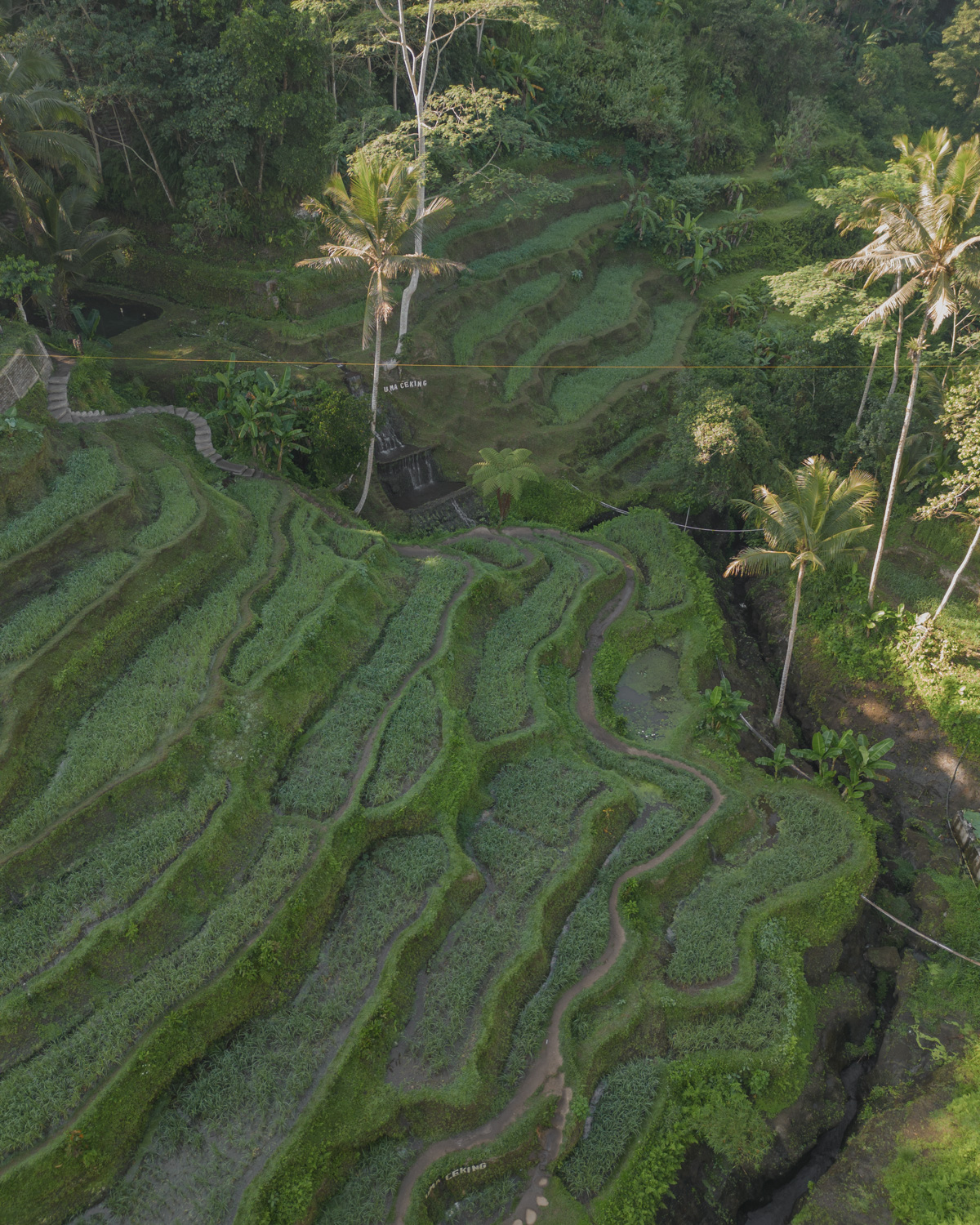 ubud itinerary