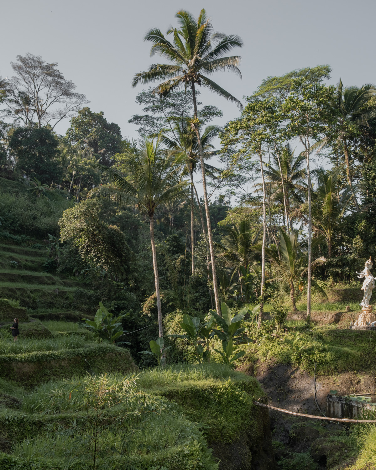 ubud travel guide 2024