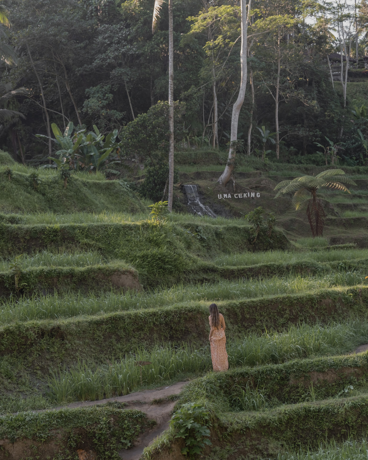 ubud travel guide book