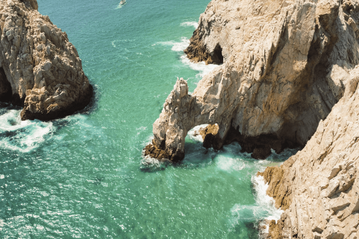 cabo sunset crusie