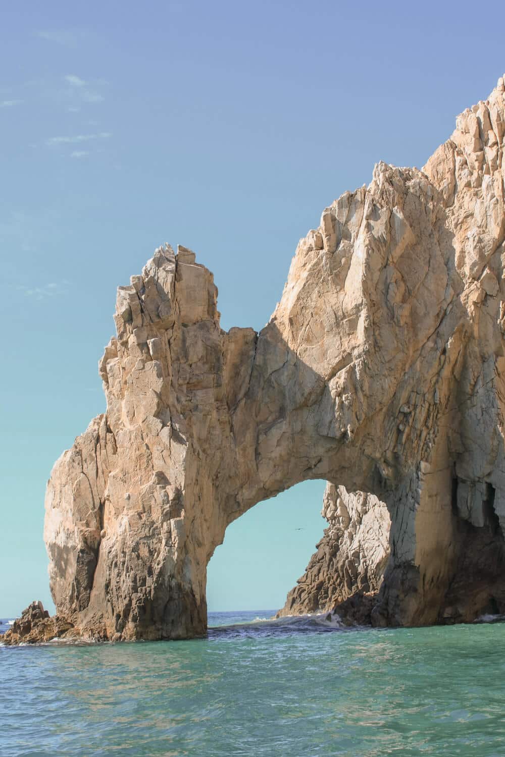 sunset dinner cruise cabo san lucas