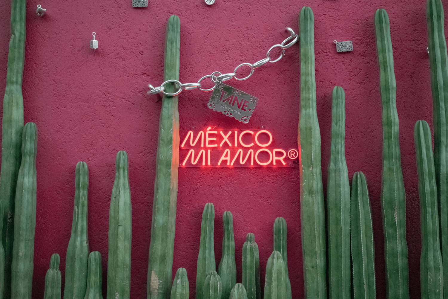 4 days in mexico city