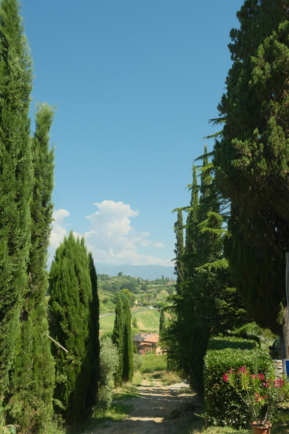 how to wine windows work in florence