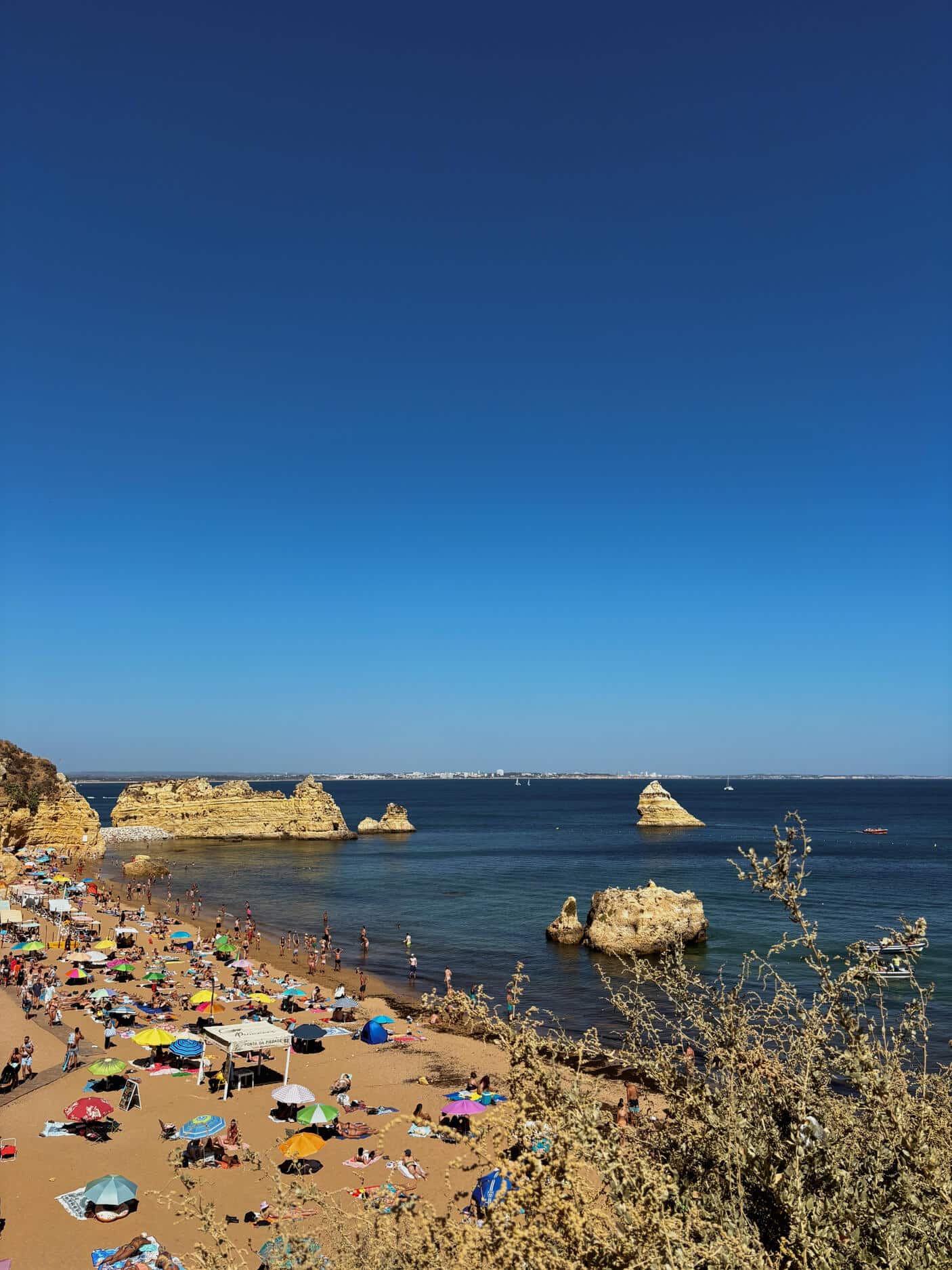 best things to do in lagos portugal