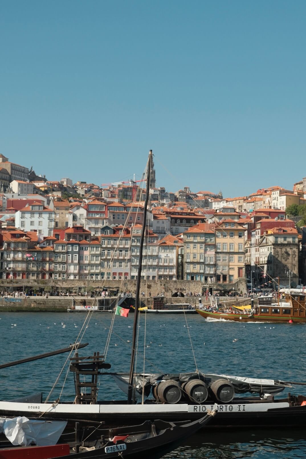 things to do in porto