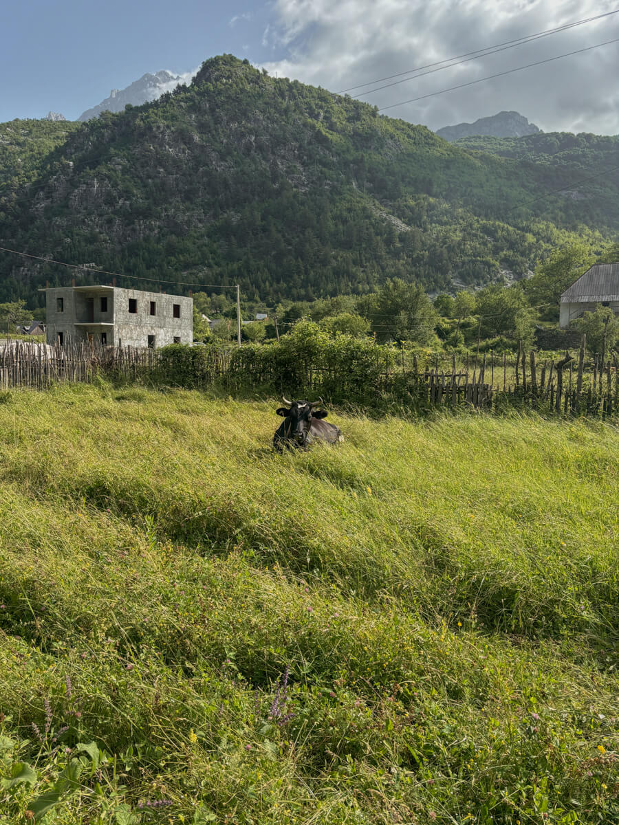 shkoder albania