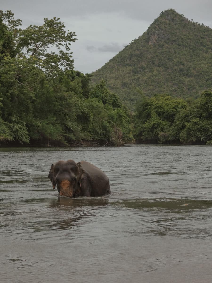 things to do in thailand