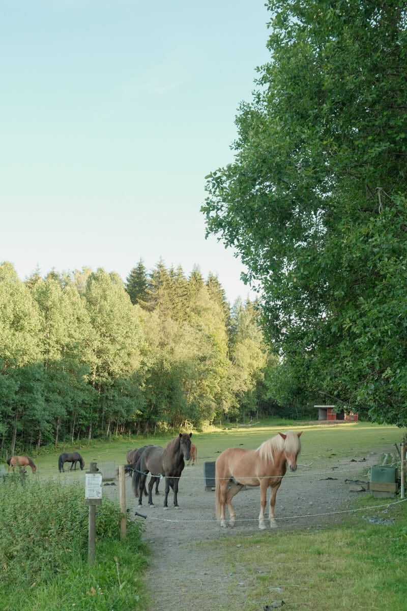 eastern europe itinerary 3 months