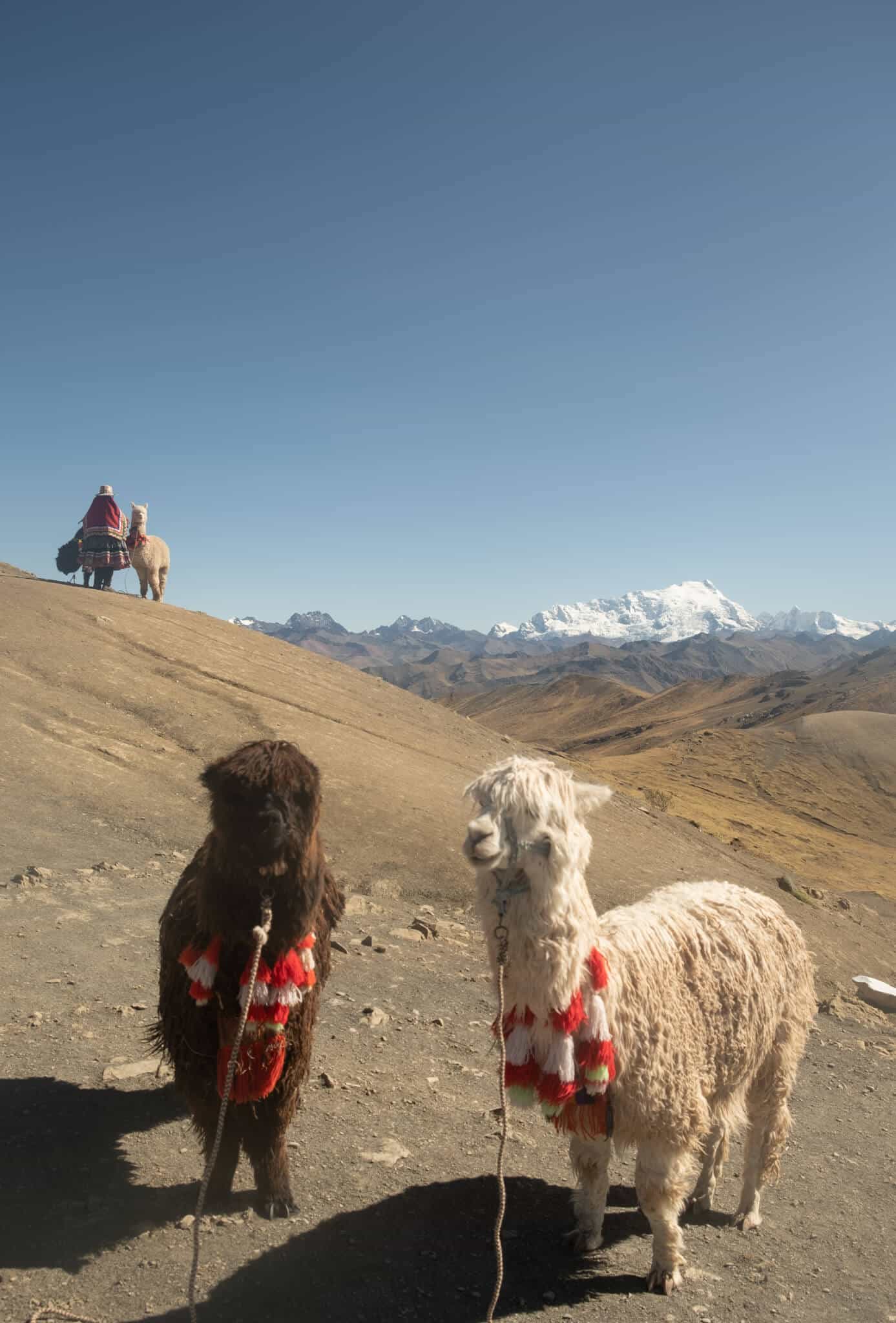 cusco altitude meters