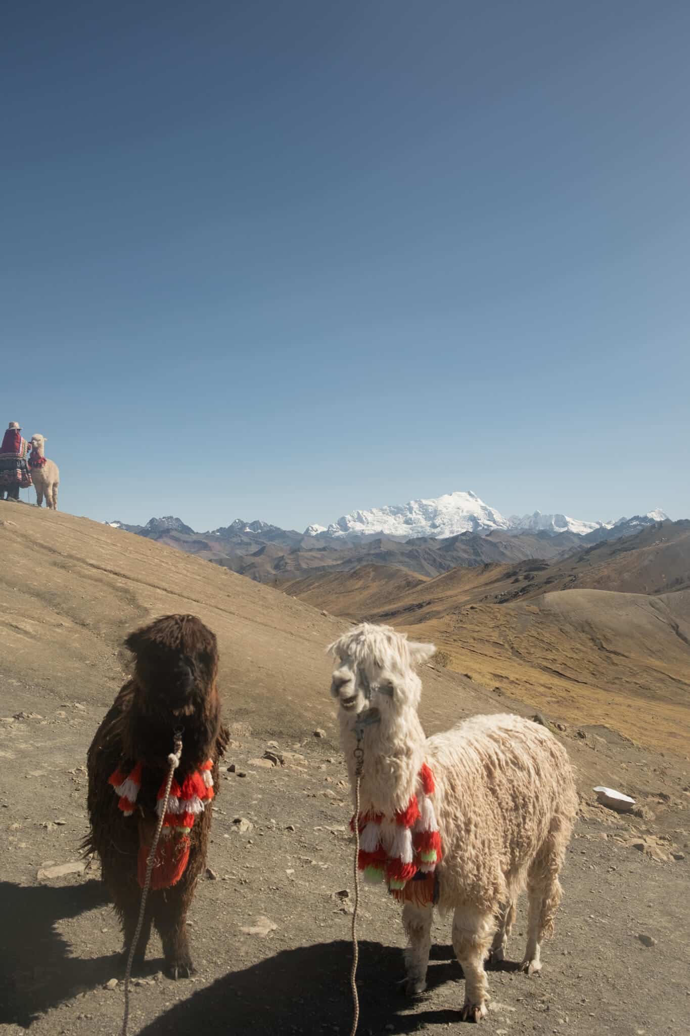 ef tours south america