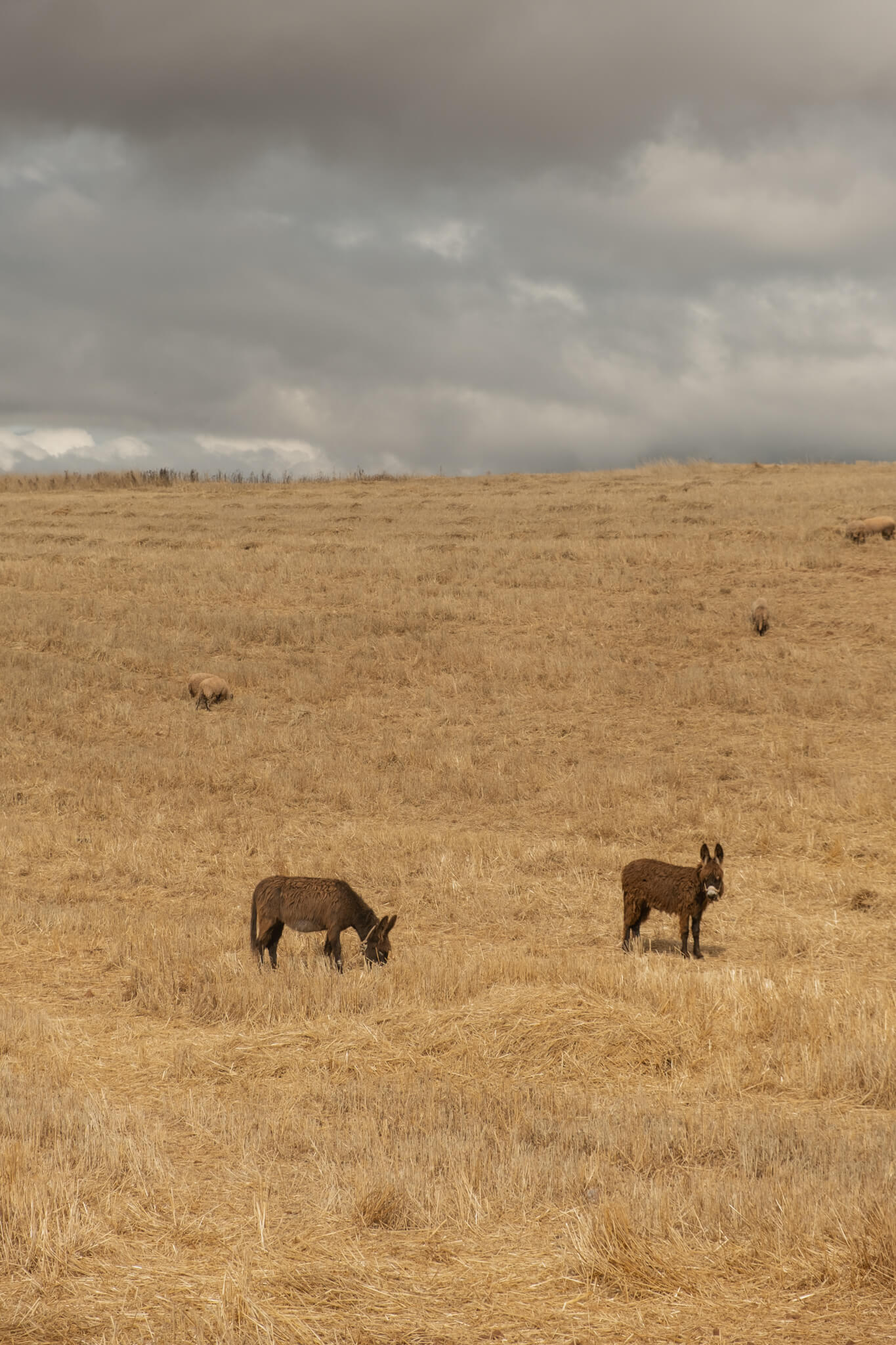 peru itinerary 7 days