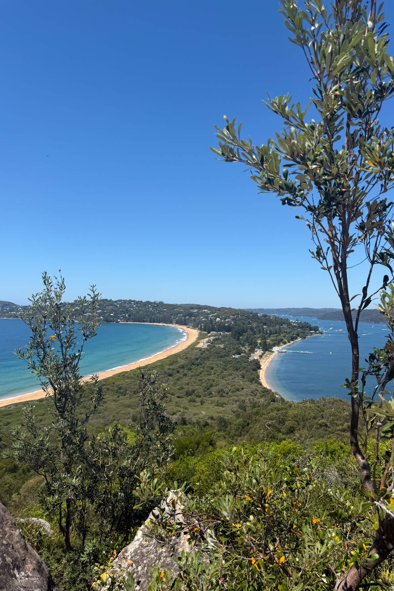 palm beach from sydney