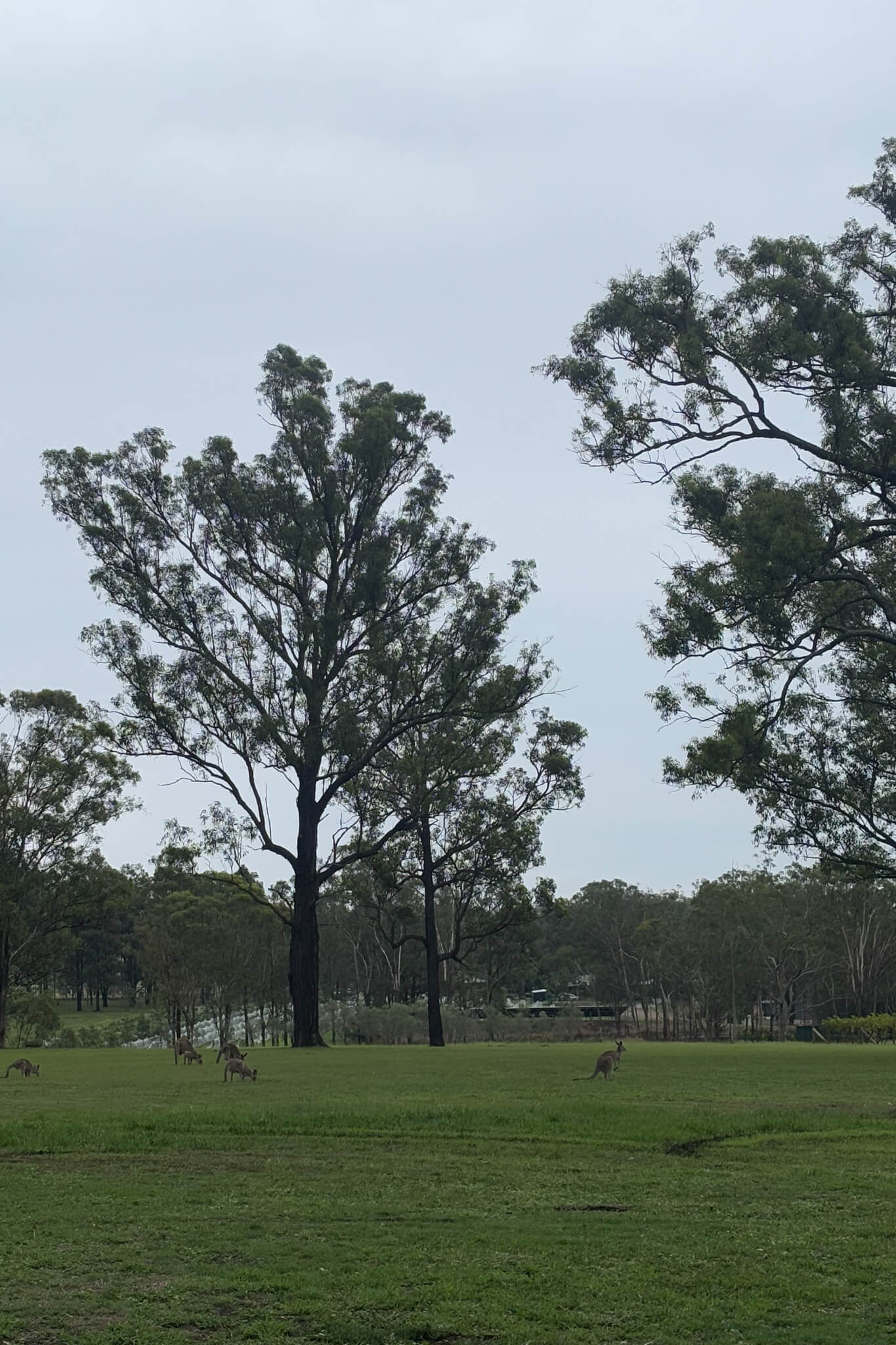 port stephens getaway