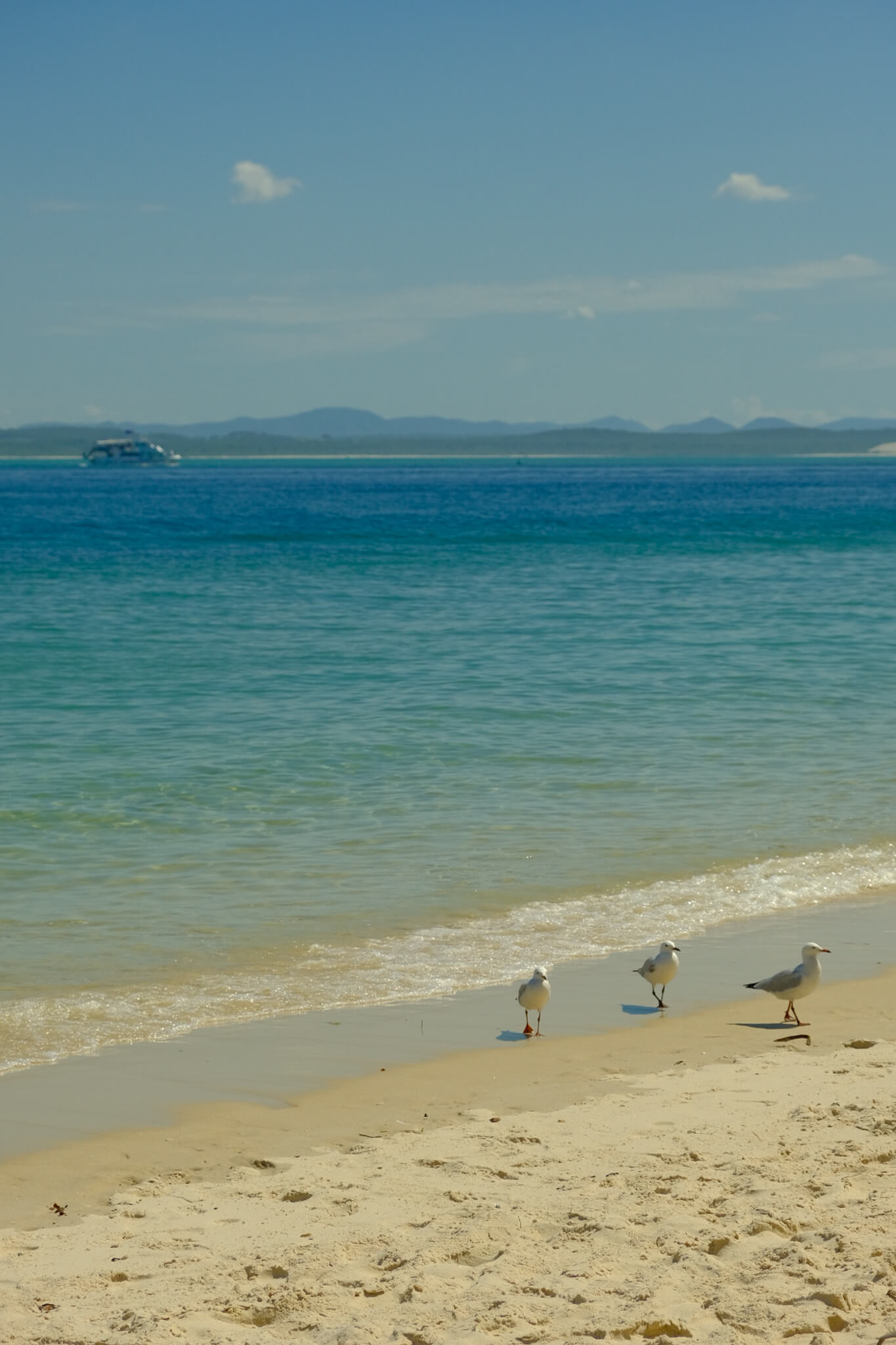 weekend trips from sydney , australia