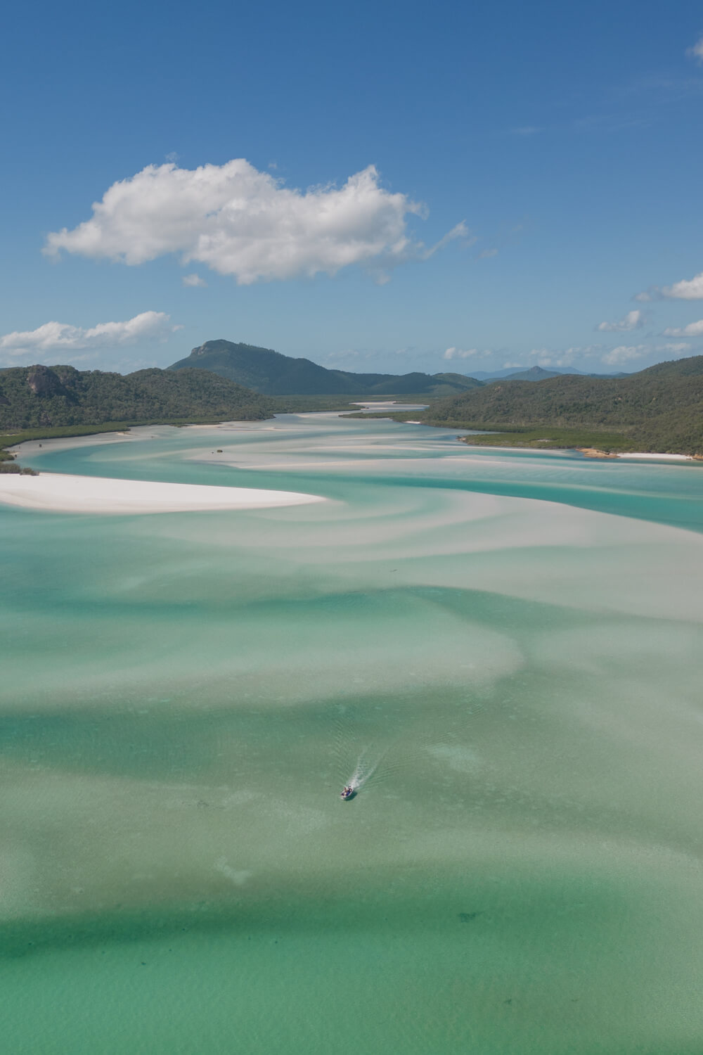 hamilton island wildlife park