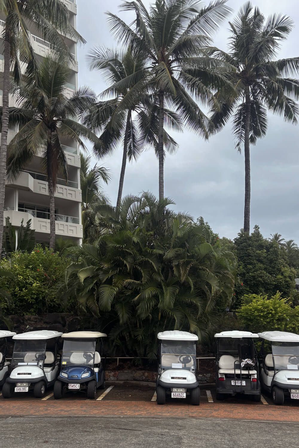 hamilton island travel guide