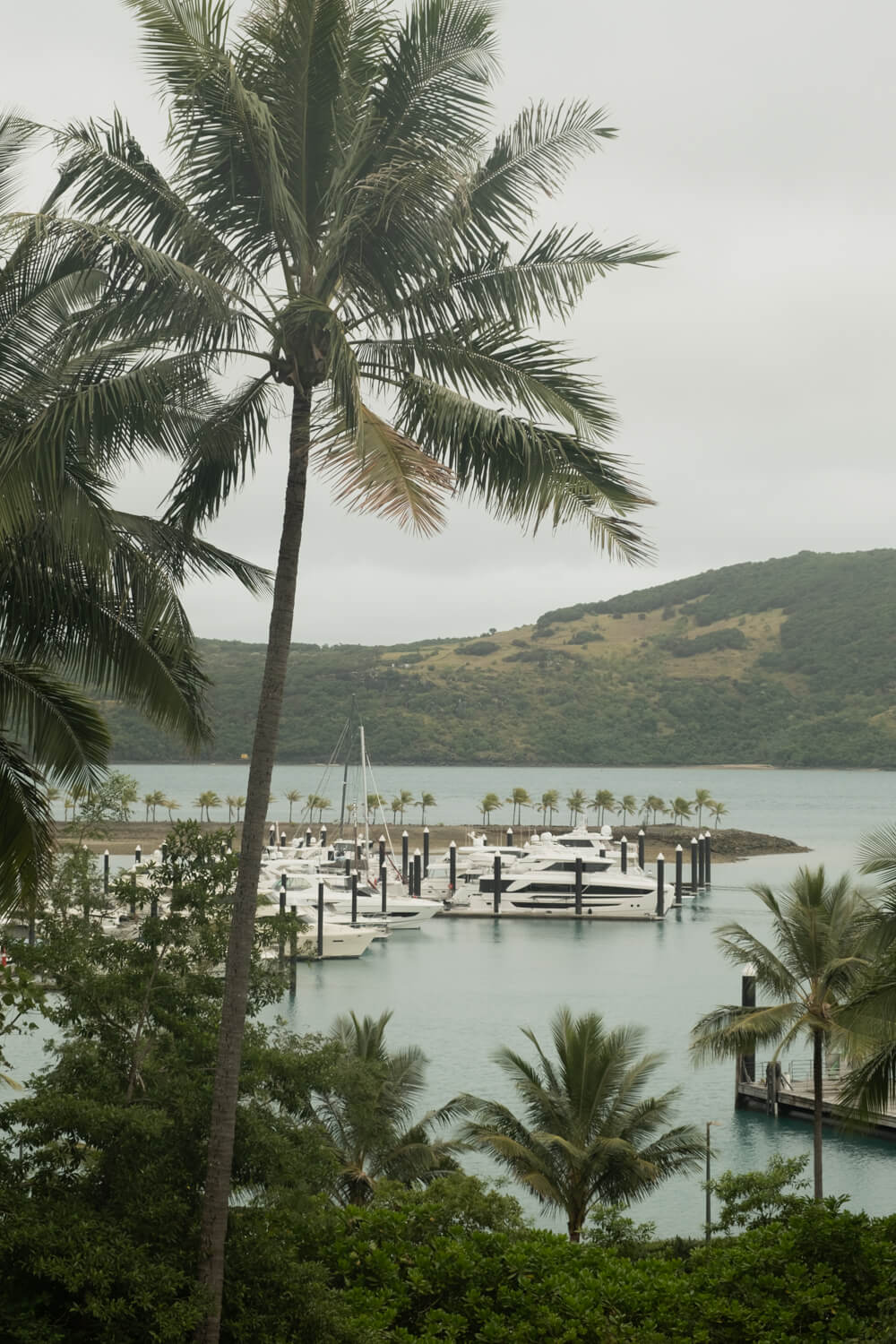 things to do in hamilton island for families