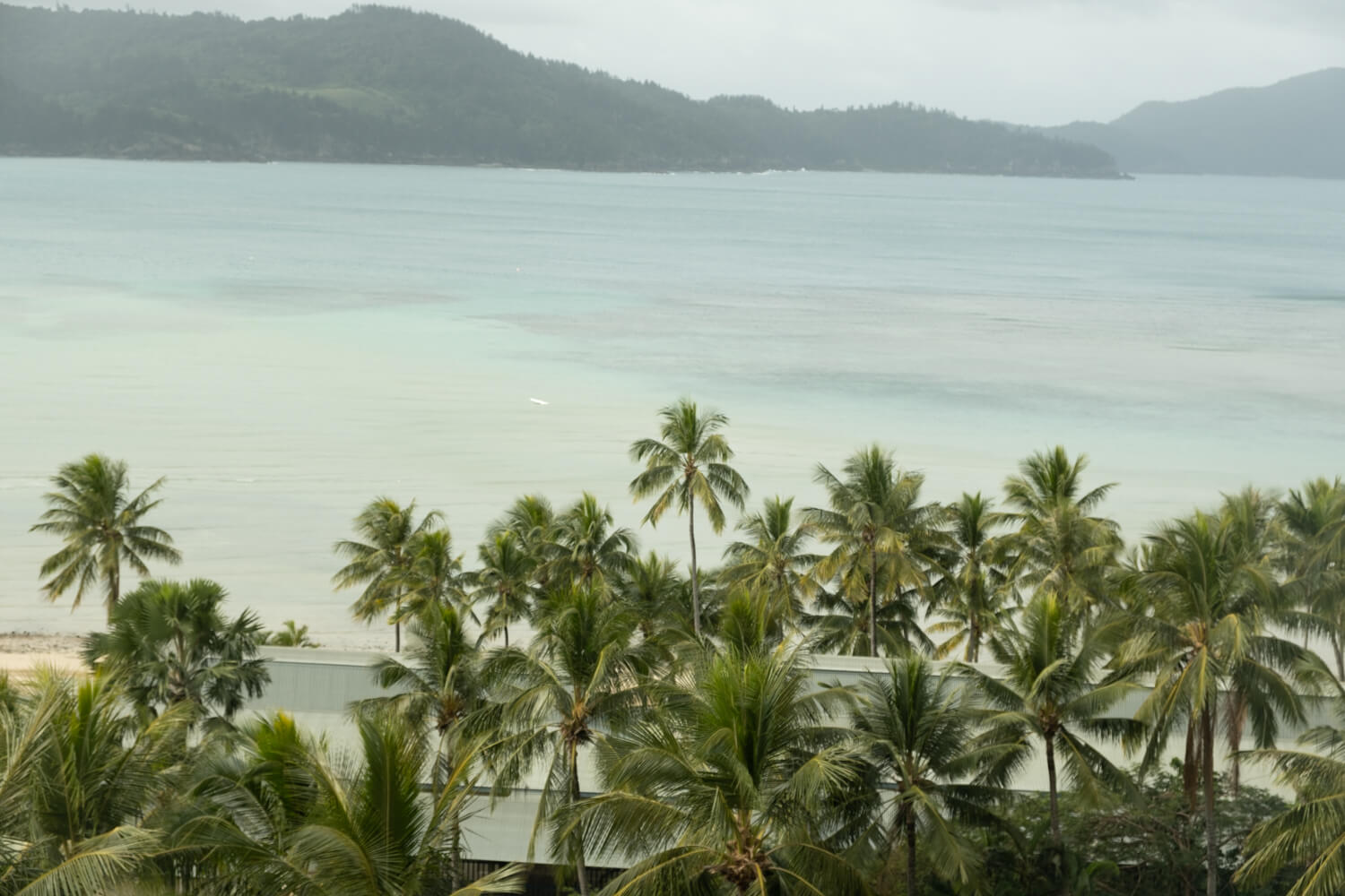 things to do in hamilton island