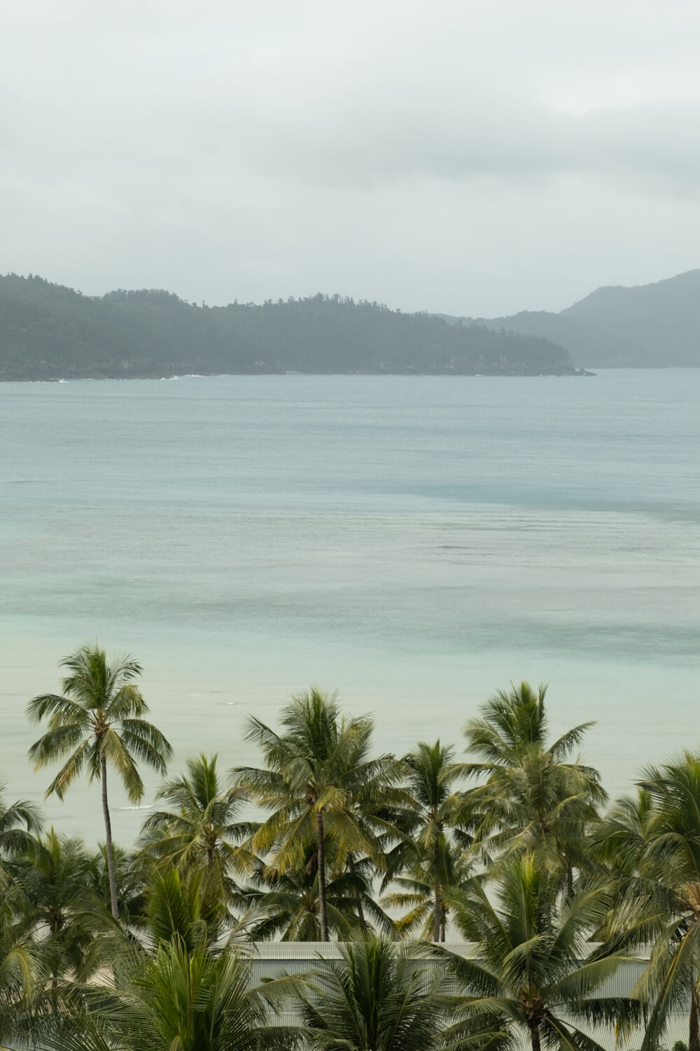 things to do on hamilton island
