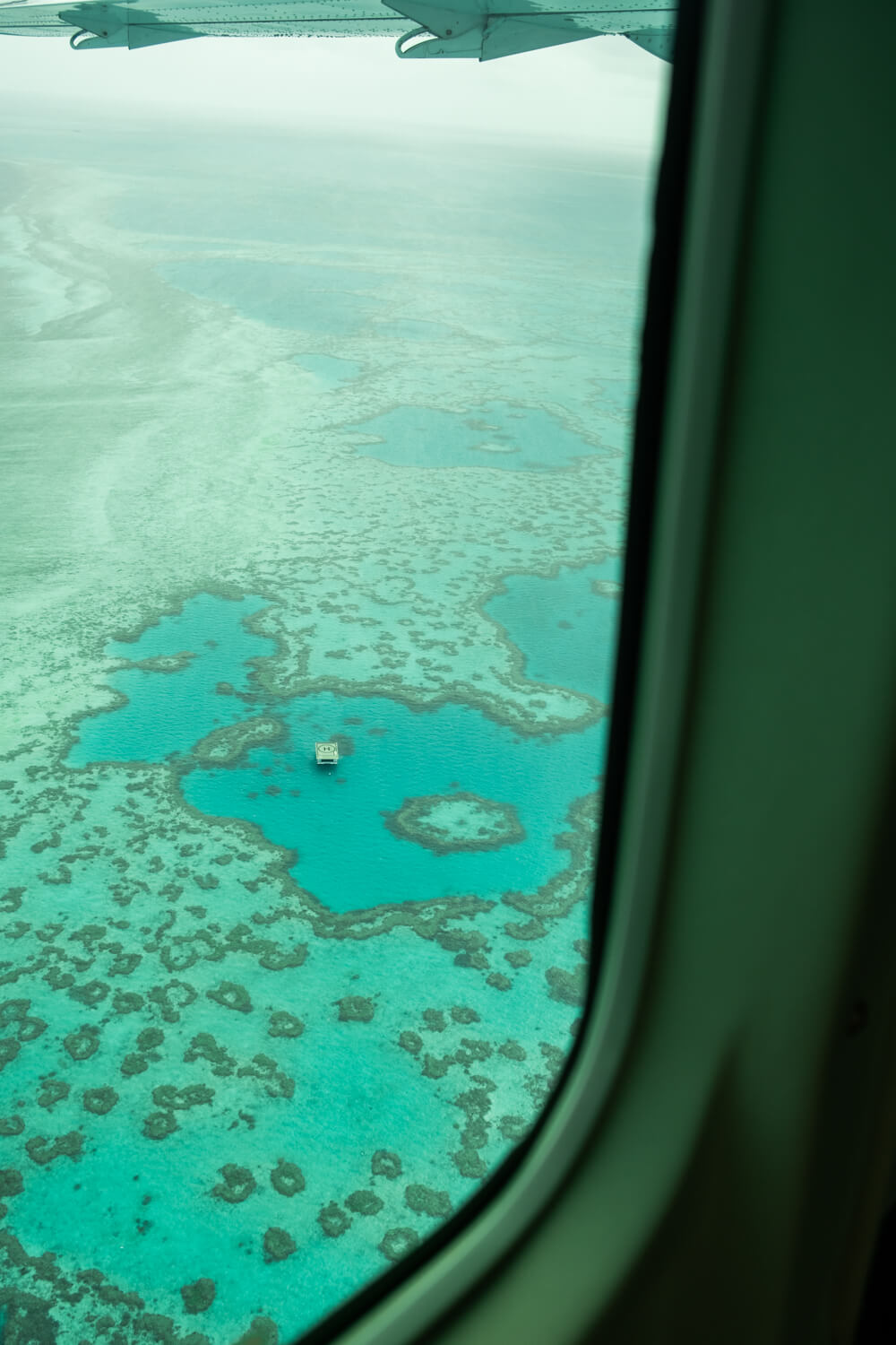 things to do on hamilton island day trip